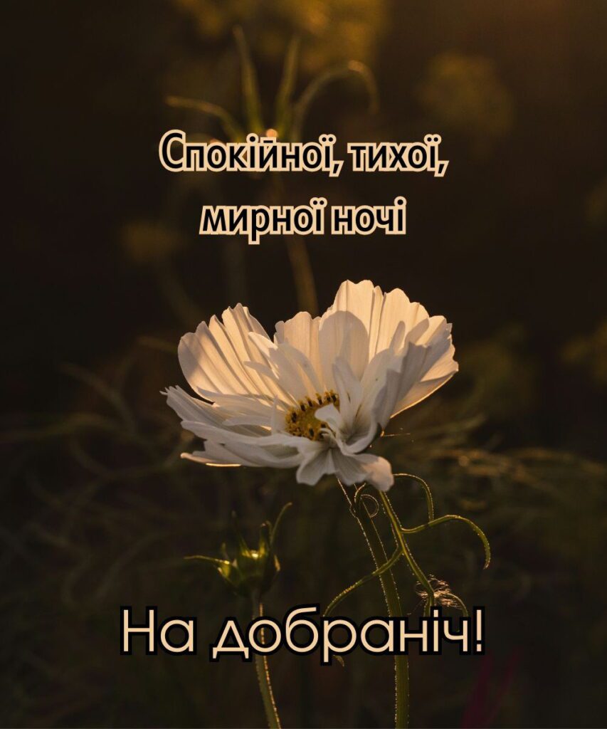 гарні побажання на добраніч - Листівка 5