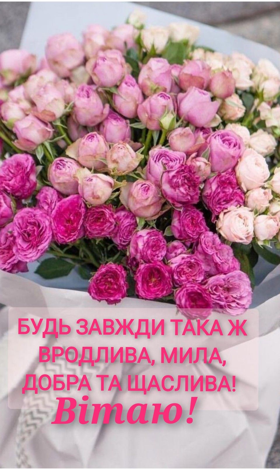 квіти привітання картинки - листівка 10