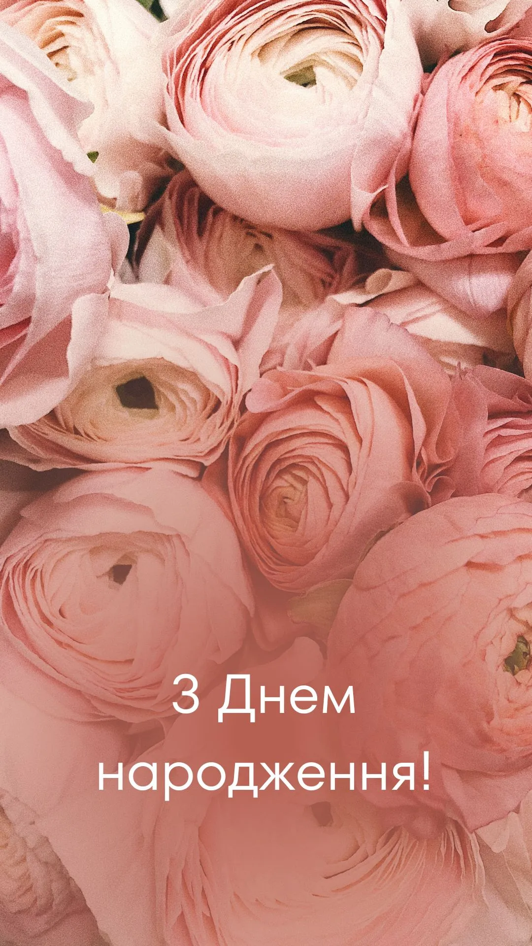 квіти привітання картинки - листівка 16