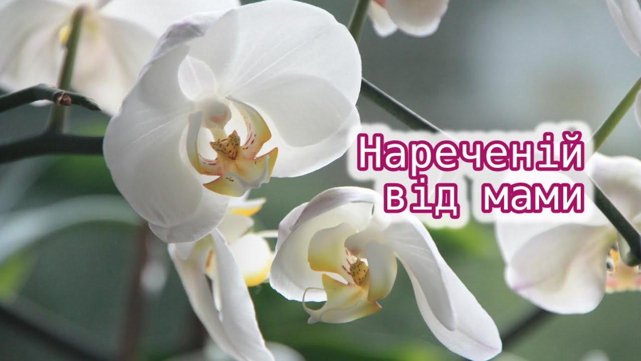 привітання з днем весілля від мами у віршах - Листівка 9