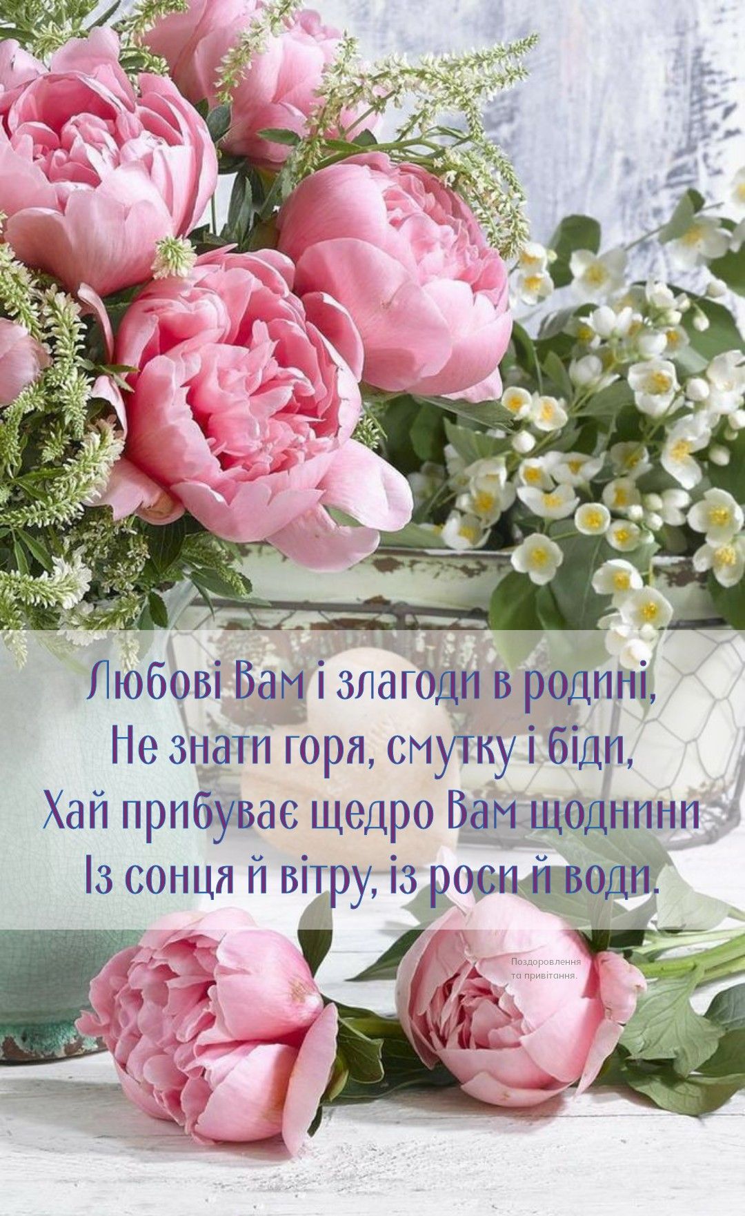 привітання з народженням онучки картинки - листівка 13