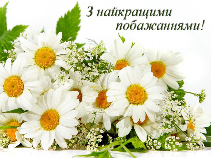 привітання з народженням онучки картинки - листівка 16