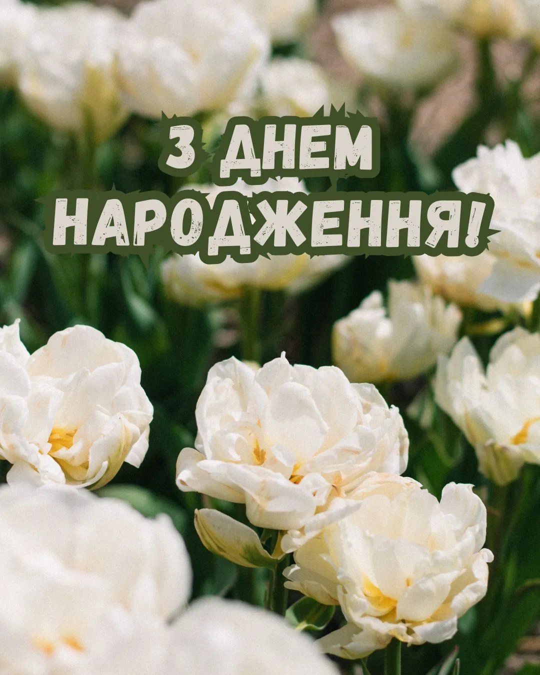 з днем народження дівчині своїми словами - Листівка 6