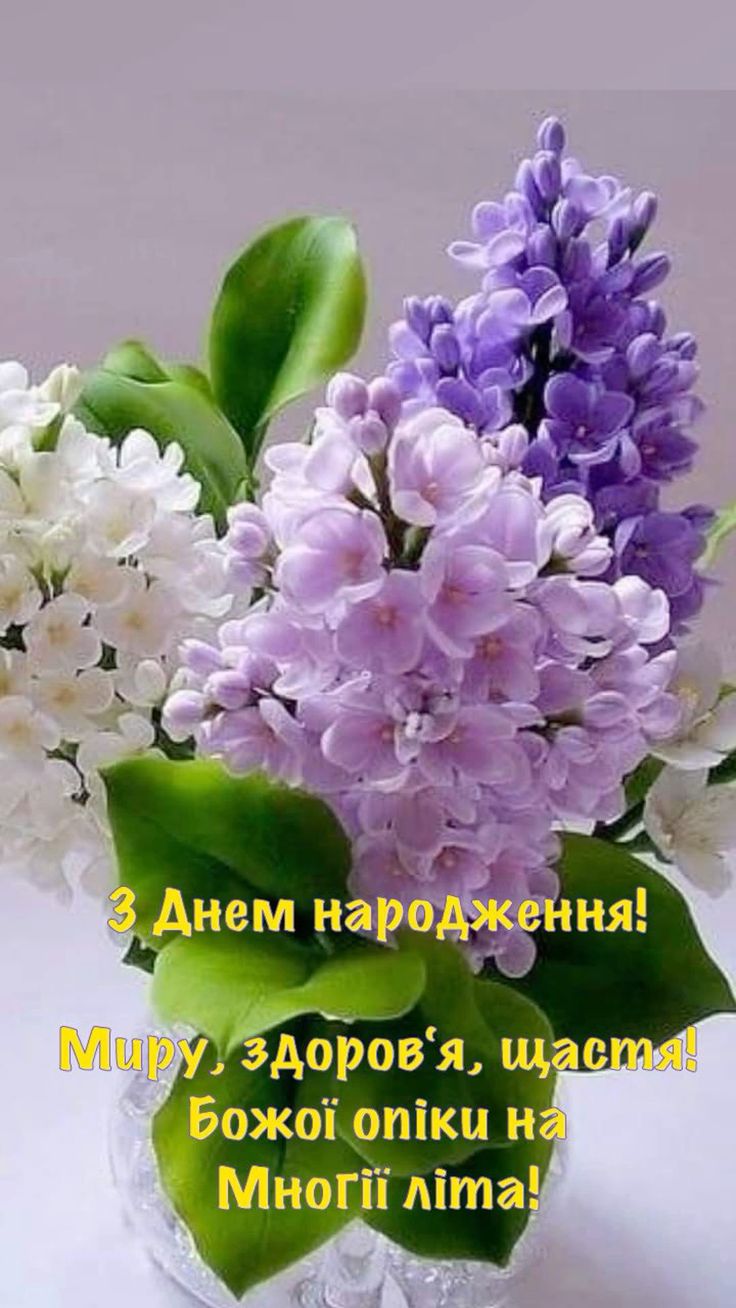 з днем народження фото картинки - листівка 18