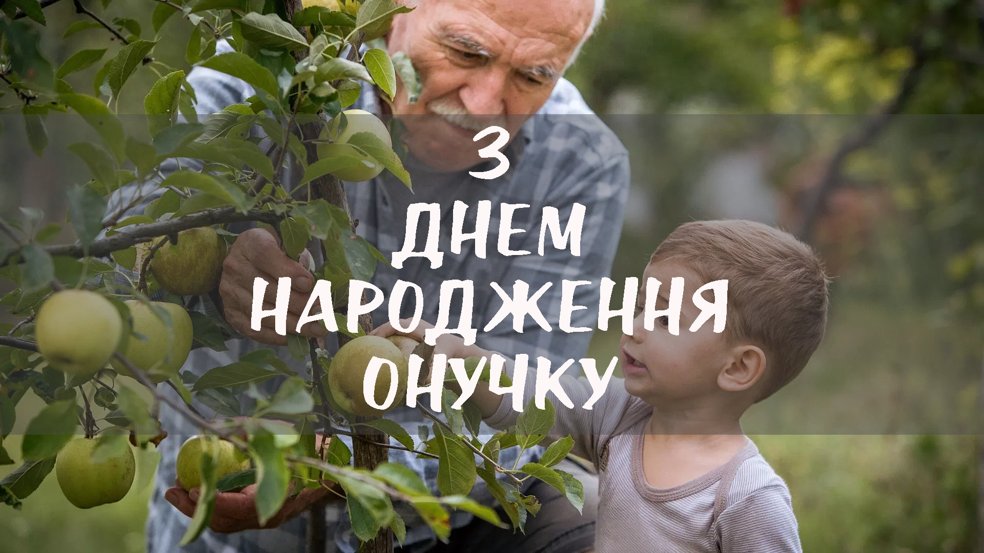 з днем народження онука картинки - листівка 5