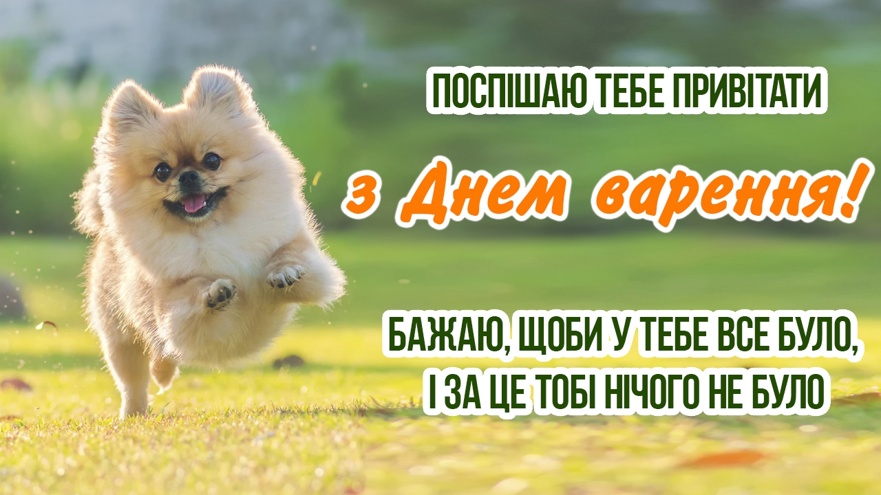 з днем народження прикольні картинки - листівка 14