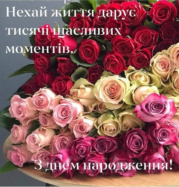 з днем народження відкритки картинки - листівка 11