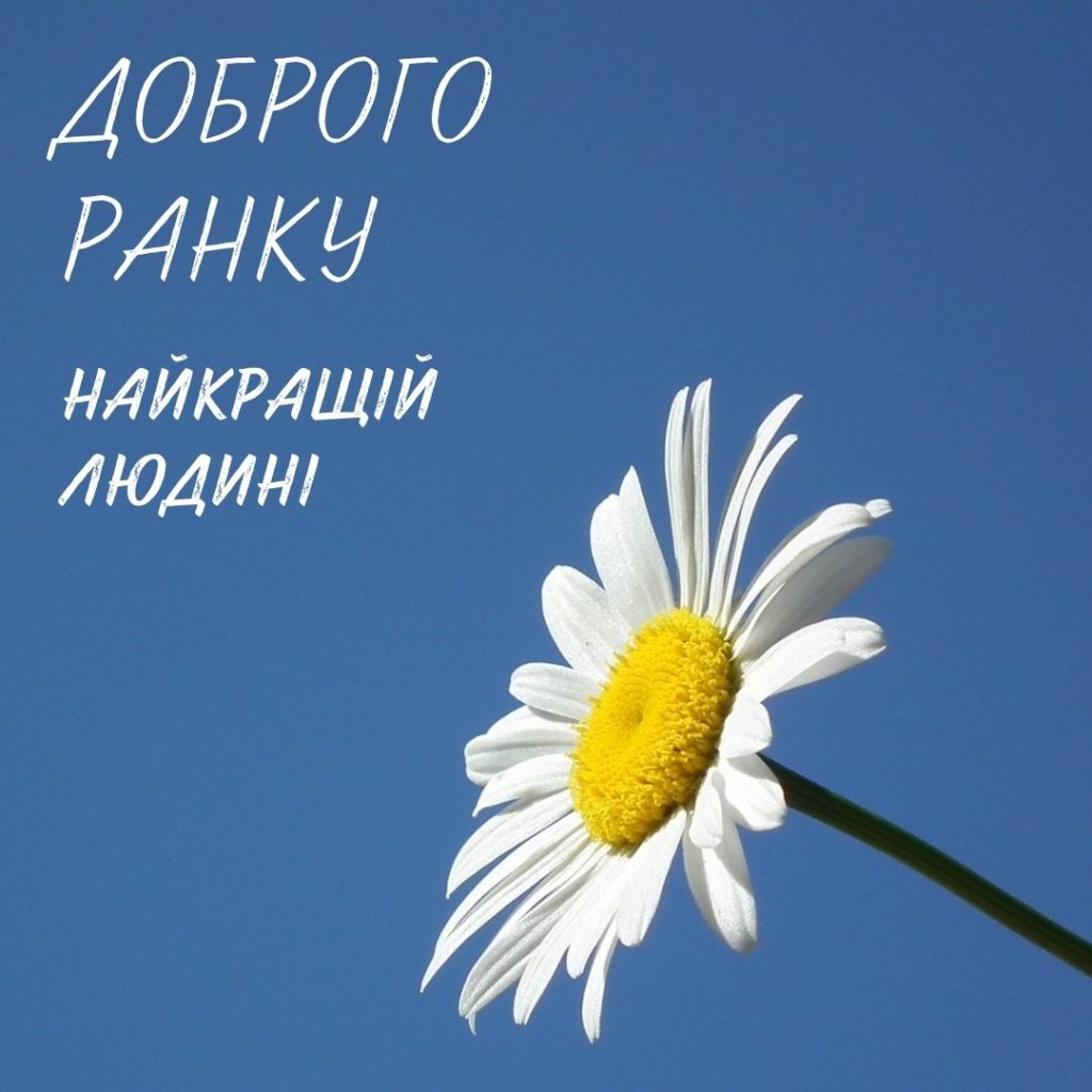 оригінальні привітання з добрим ранком - Листівка 7